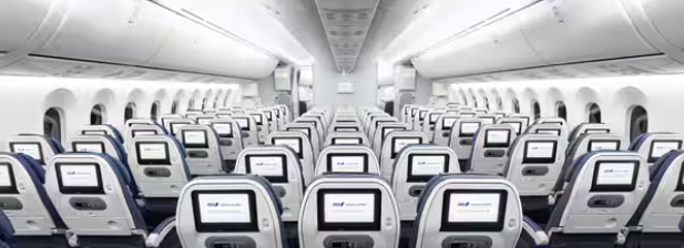 ANA seat